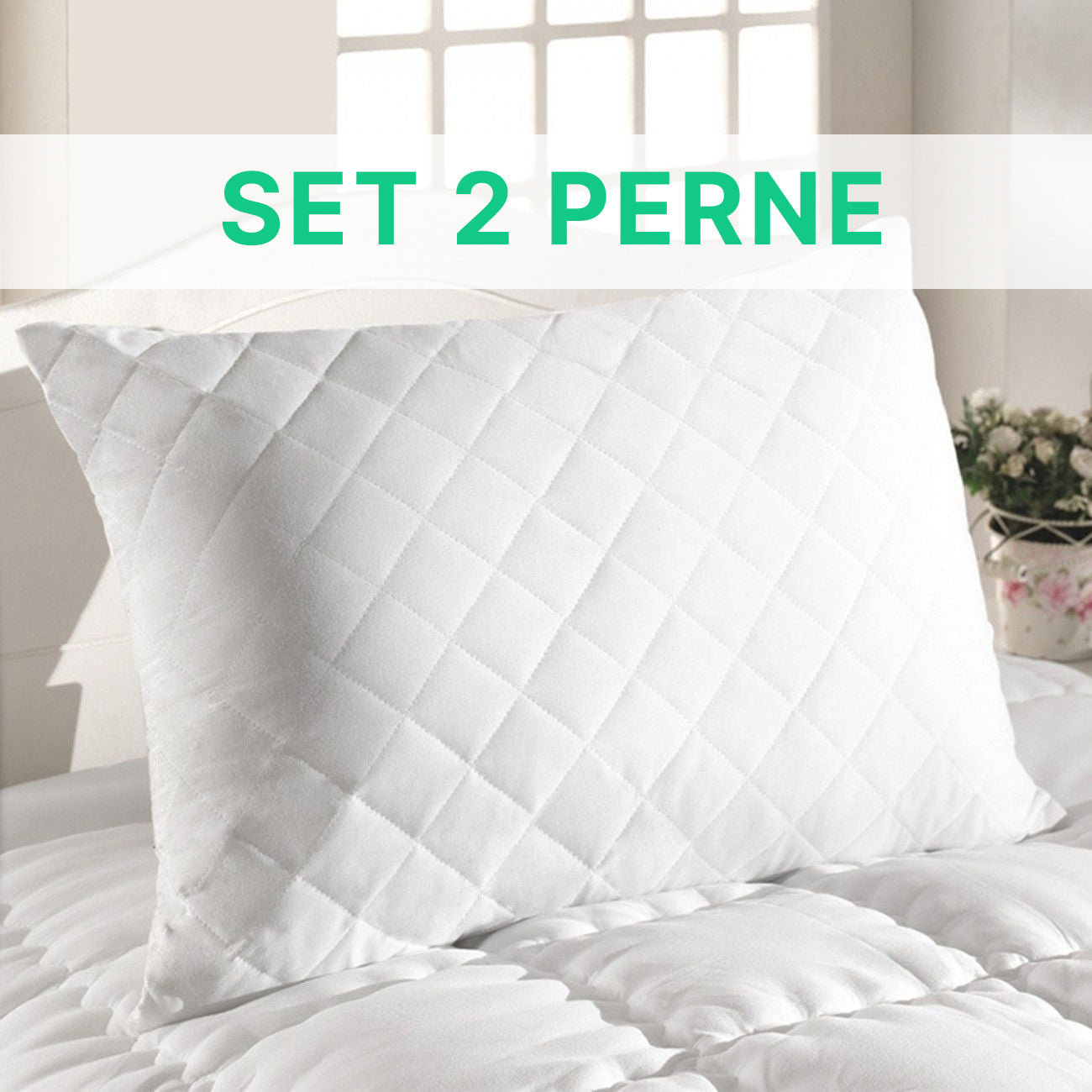 Set-2-perne.jpg