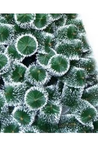 Brad de Craciun, Pin Nins 210cm